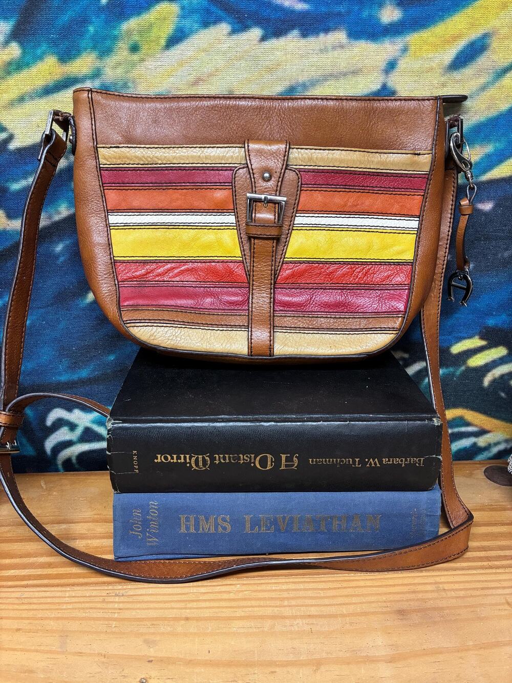 Etienne Aigner Genuine Leather Crossbody Bag – Multicolor Stripe Saddle Bag